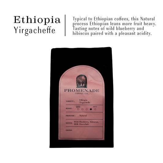 12oz Ethiopian Yirgacheffe - Natural Process