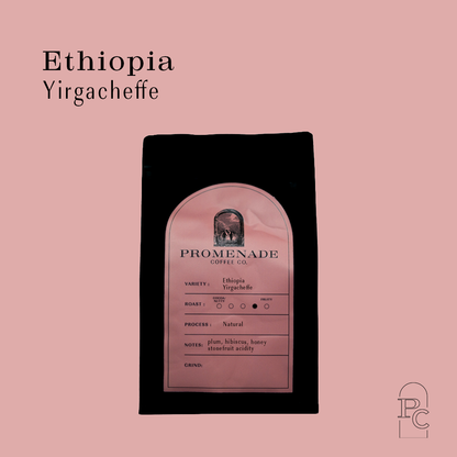 12oz Ethiopian Yirgacheffe 2025 - Natural Process