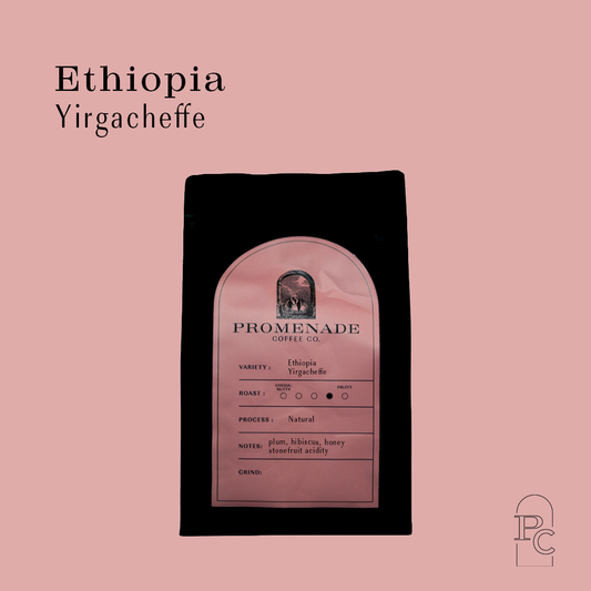 12oz Ethiopian Yirgacheffe 2025 - Natural Process