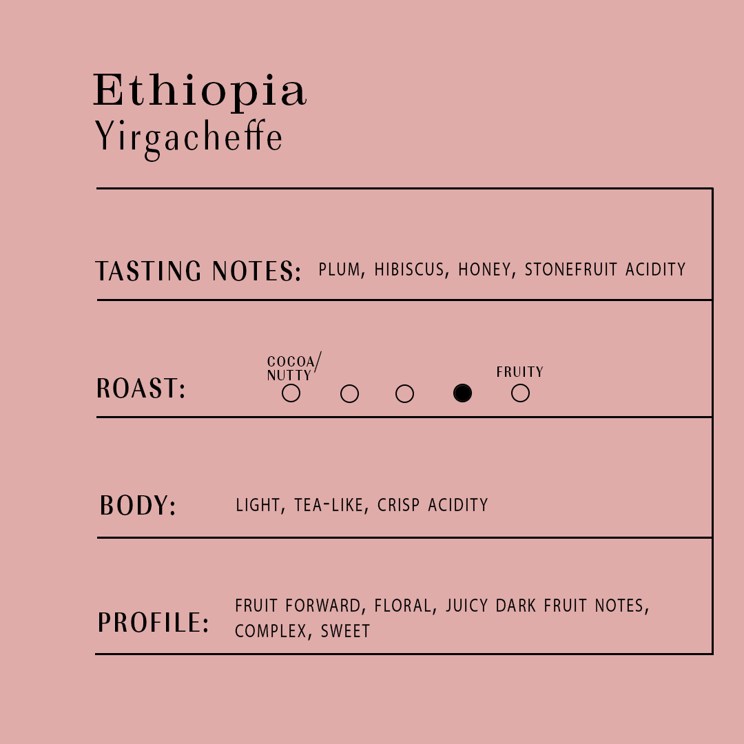 12oz Ethiopia Yirgacheffe 2025 - Natural Process