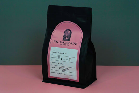12oz Brazil Salmo - Natural Process