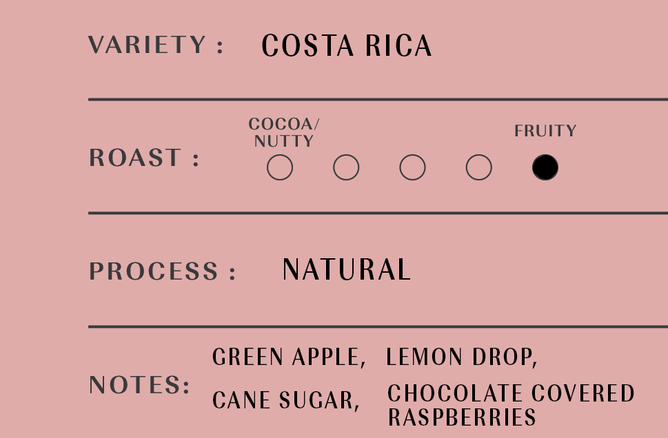 5lb Ethiopia Yirgacheffe 2025