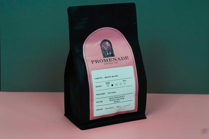 12oz Brazil Salmo - Natural Process